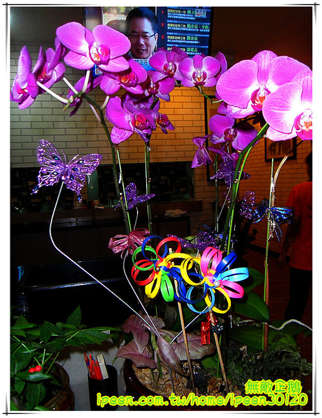 米谷手作料理食堂:【台南-東區】CP值高的丼飯...挑戰平價的最高境界!~《米谷手作料理食堂》