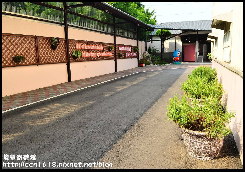 麗豐微酵館DSC_1959