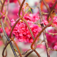 前往 珍妮佛 的 styleMe 個人頁