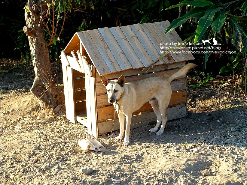 三仙台星辰民宿+早餐