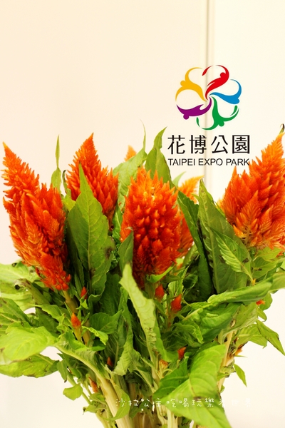 2015花卉裝置藝術設計大展：免費展覽『2015花卉裝置藝術設計大展』花博公園