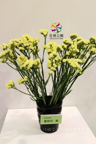 2015花卉裝置藝術設計大展：免費展覽『2015花卉裝置藝術設計大展』花博公園