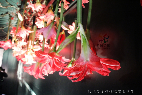 2015花卉裝置藝術設計大展：免費展覽『2015花卉裝置藝術設計大展』花博公園