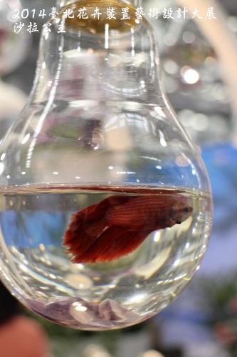 2014臺北花卉裝置藝術設計大展(跟著花去旅行):2014臺北花卉裝置藝術設計大展「跟著花去旅行」花博爭艷館