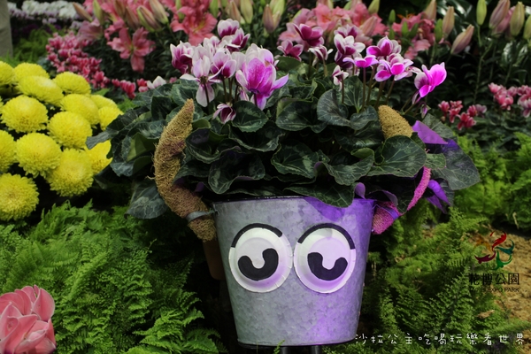 2015花卉裝置藝術設計大展：免費展覽『2015花卉裝置藝術設計大展』花博公園