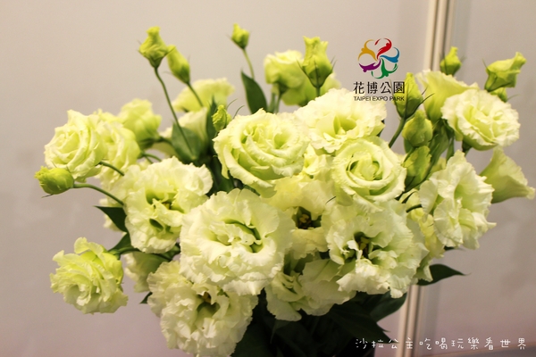 2015花卉裝置藝術設計大展：免費展覽『2015花卉裝置藝術設計大展』花博公園