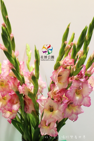 2015花卉裝置藝術設計大展：免費展覽『2015花卉裝置藝術設計大展』花博公園