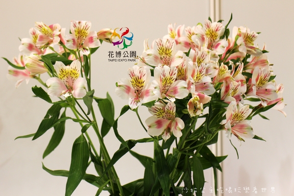 2015花卉裝置藝術設計大展：免費展覽『2015花卉裝置藝術設計大展』花博公園