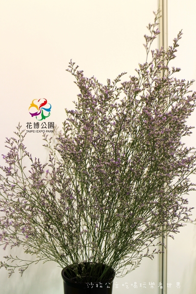 2015花卉裝置藝術設計大展：免費展覽『2015花卉裝置藝術設計大展』花博公園