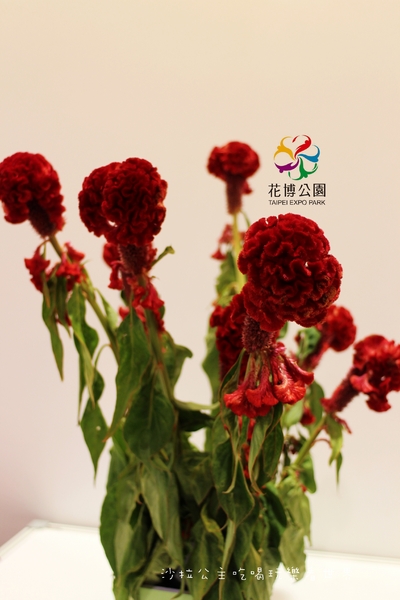 2015花卉裝置藝術設計大展：免費展覽『2015花卉裝置藝術設計大展』花博公園