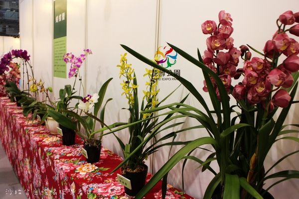 2015花卉裝置藝術設計大展：免費展覽『2015花卉裝置藝術設計大展』花博公園