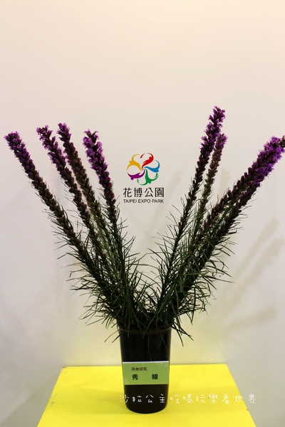 2015花卉裝置藝術設計大展：免費展覽『2015花卉裝置藝術設計大展』花博公園