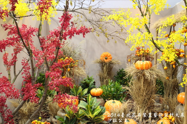 2014臺北花卉裝置藝術設計大展(跟著花去旅行):2014臺北花卉裝置藝術設計大展「跟著花去旅行」花博爭艷館