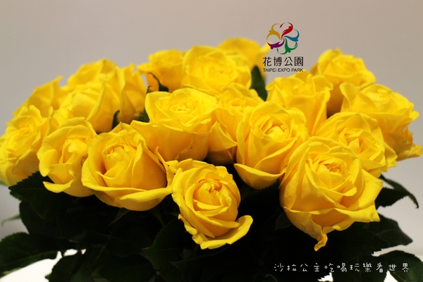 2015花卉裝置藝術設計大展：免費展覽『2015花卉裝置藝術設計大展』花博公園