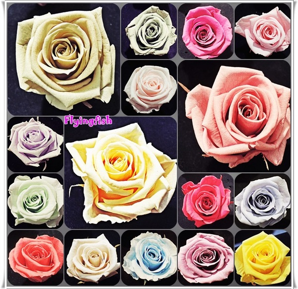 圓山花博爭艷館：✜ 讓花藝帶來好心情❤～: 「2014萬花節－愛與芬芳花藝展11/1/14(六)-11/9/14(日) (花博公園爭豔館)」