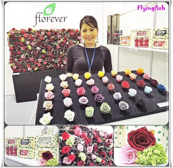 圓山花博爭艷館：✜ 讓花藝帶來好心情❤～: 「2014萬花節－愛與芬芳花藝展11/1/14(六)-11/9/14(日) (花博公園爭豔館)」