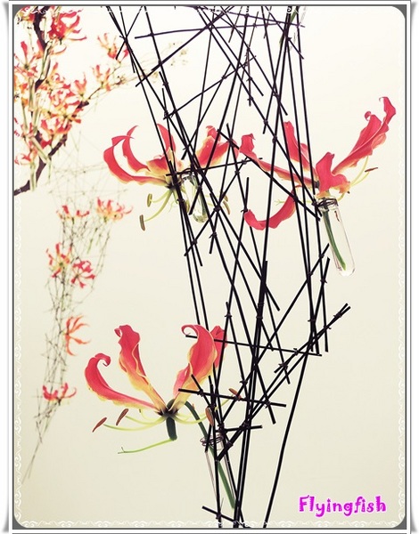 圓山花博爭艷館：✜ 讓花藝帶來好心情❤～: 「2014萬花節－愛與芬芳花藝展11/1/14(六)-11/9/14(日) (花博公園爭豔館)」