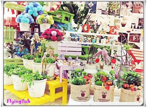 圓山花博爭艷館：✜ 讓花藝帶來好心情❤～: 「2014萬花節－愛與芬芳花藝展11/1/14(六)-11/9/14(日) (花博公園爭豔館)」