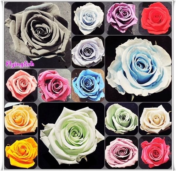 圓山花博爭艷館：✜ 讓花藝帶來好心情❤～: 「2014萬花節－愛與芬芳花藝展11/1/14(六)-11/9/14(日) (花博公園爭豔館)」