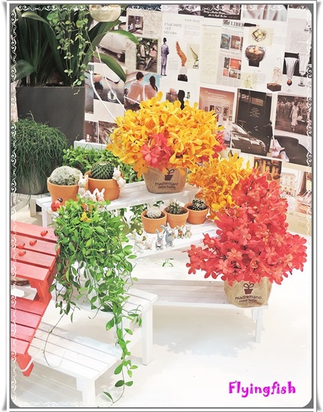 圓山花博爭艷館：✜ 讓花藝帶來好心情❤～: 「2014萬花節－愛與芬芳花藝展11/1/14(六)-11/9/14(日) (花博公園爭豔館)」