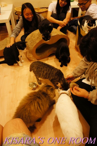 貓藝家Cat.Art.Home:貓咪滿屋的貓.藝.家