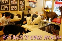 貓藝家Cat.Art.Home:貓咪滿屋的貓.藝.家