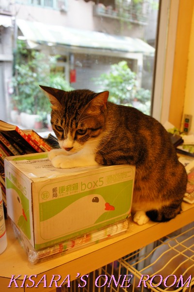 貓藝家Cat.Art.Home:貓咪滿屋的貓.藝.家