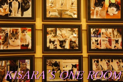 貓藝家Cat.Art.Home:貓咪滿屋的貓.藝.家