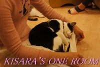 貓藝家Cat.Art.Home:貓咪滿屋的貓.藝.家