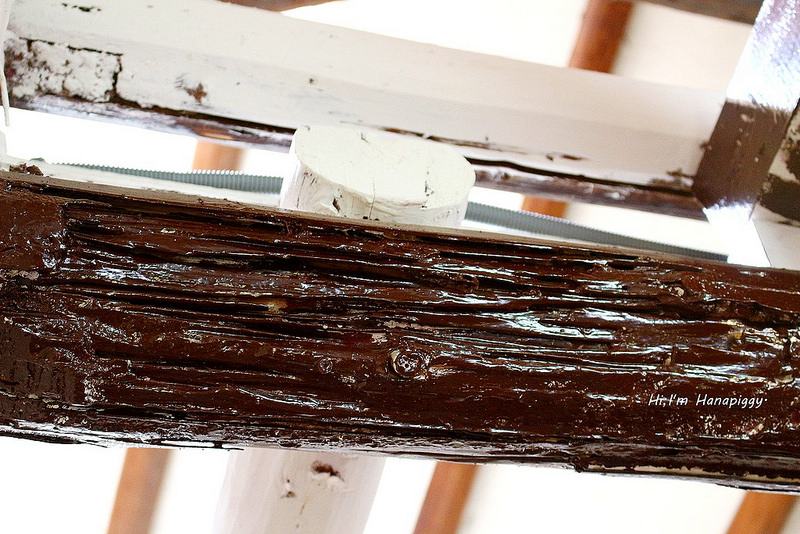 福森(桃園大溪) (16)