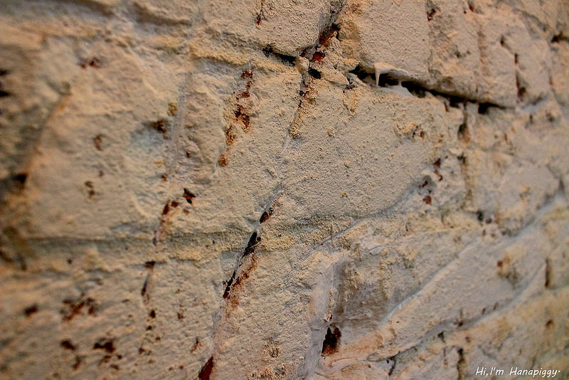 福森(桃園大溪) (51)