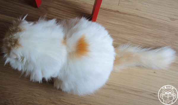 THE WHO 框影咖啡：呷飽祙【台北信義･The Who Cafe 框影】立體貓臉拉花好萌阿