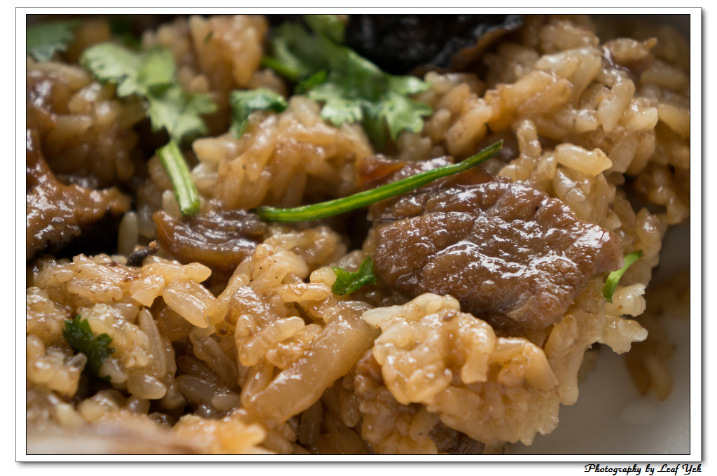 葉影瓶像版權所有