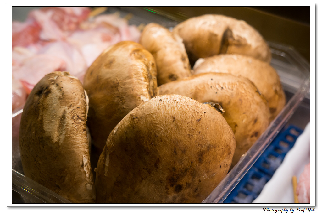 葉影瓶像版權所有