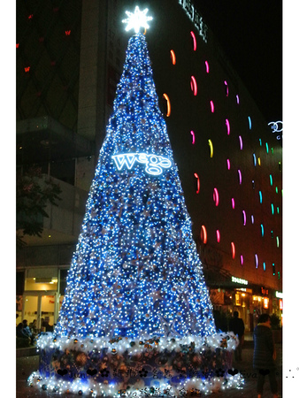 新北市政府行政大樓：【遊記】oO。台北  各區聖誕樹齊聚～美麗又浪漫！。o○。