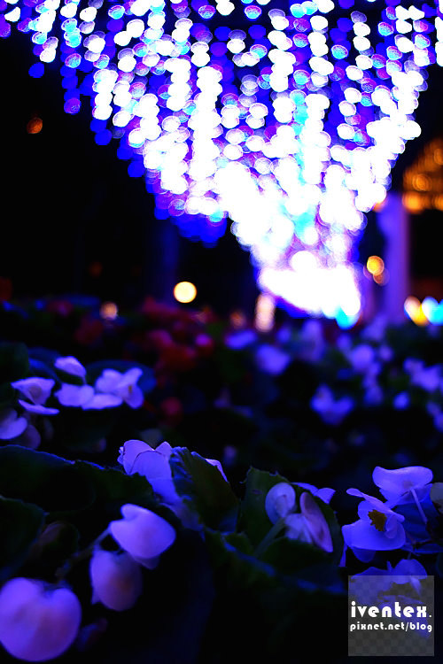 11刀口力2014新北市歡樂耶誕城新北市市民廣場