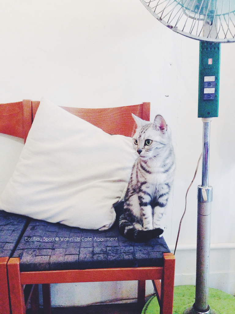 13596027204_195e8ab9a4_o