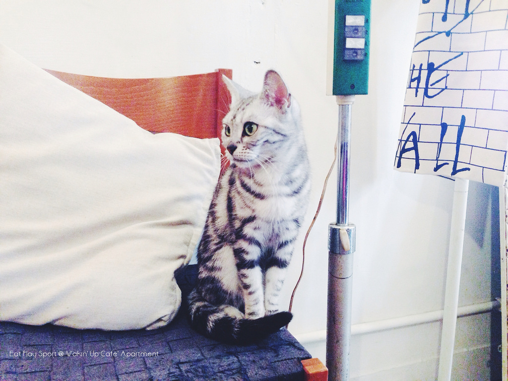 13596026754_45c3ec659d_o