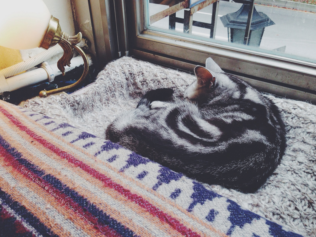 13595682403_d2ef11f95d_o