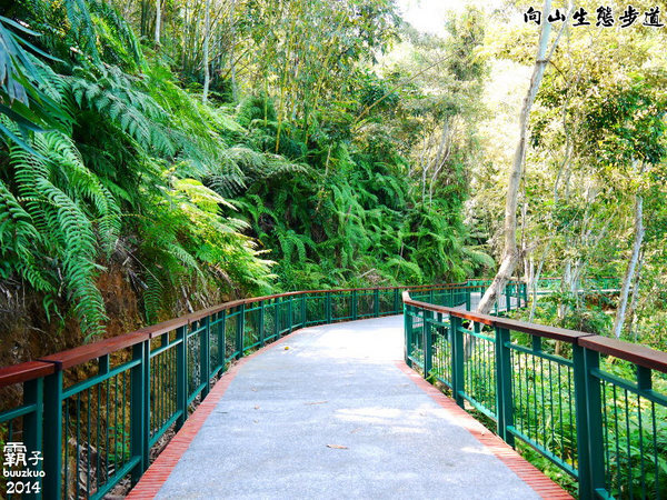 向山自行車道:大峽谷天空步道?! 延伸走向潭面的向山眺望平台
