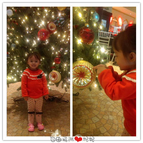 品花苑:晶冠廣場【品花苑】全台最大間Buffet餐廳