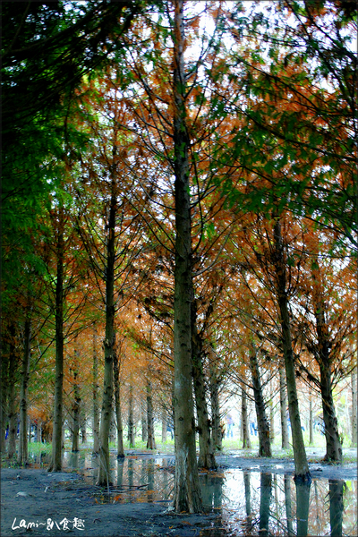 cm20141117___444cdb3a0c383df337dae2cab9e