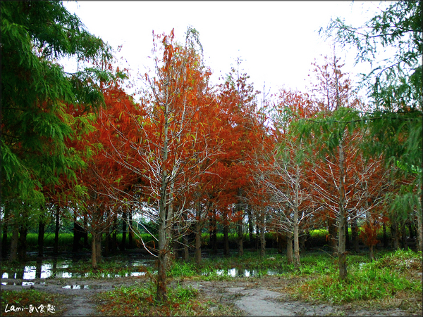 cm20141117___28465610a19101853ca403756cc