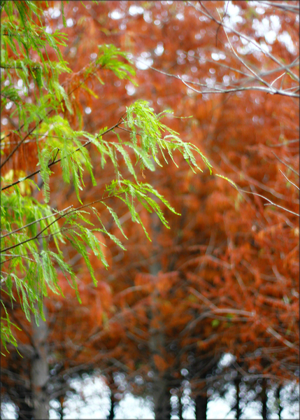 cm20141117___0aac90961f88af8669f56c69857