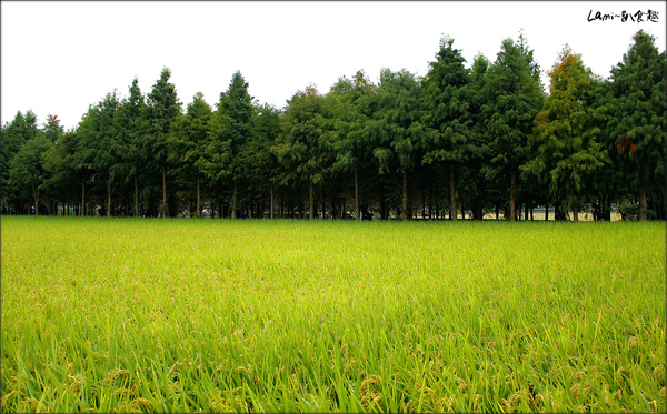 cm20141117___f4d40874ded0a0b49b8f387c213