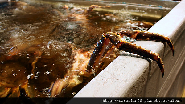 上引水產：【食記】三井集團《上引水產》尚青尚便宜