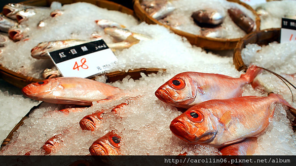 上引水產：【食記】三井集團《上引水產》尚青尚便宜