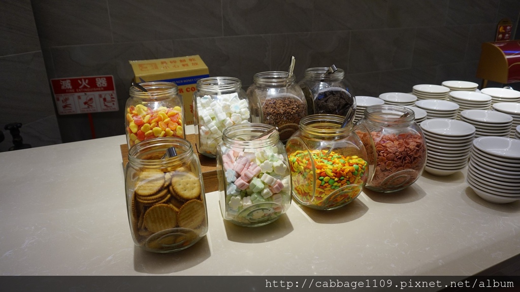 DSC05036 (複製).JPG