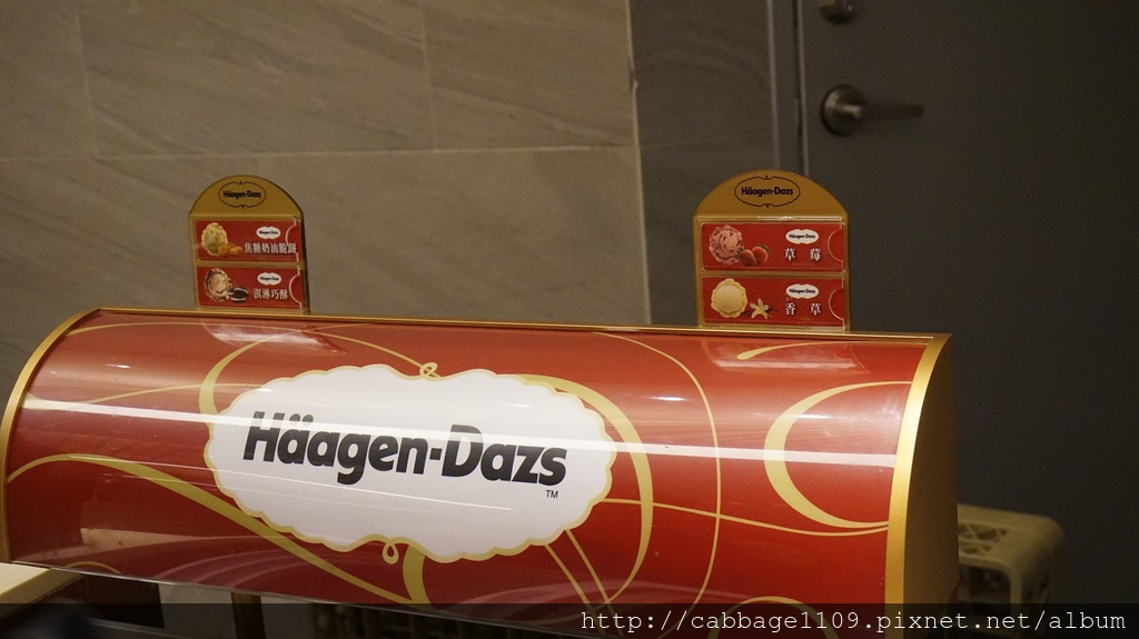 DSC05088 (複製).JPG