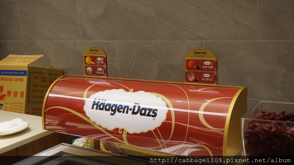 DSC05089 (複製).JPG